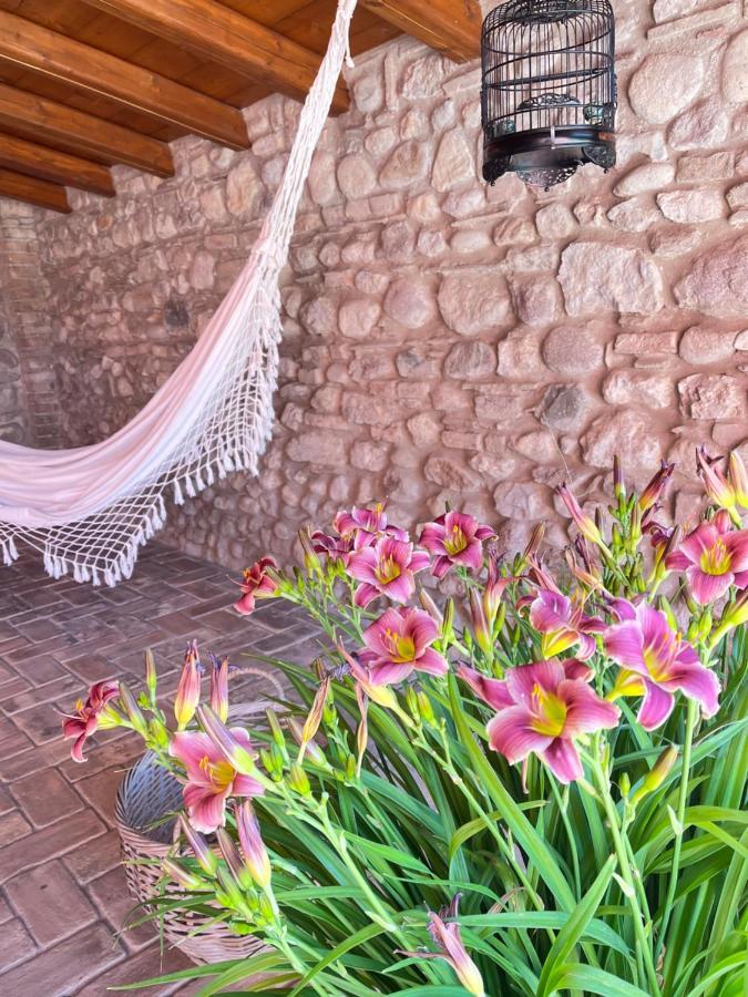 Le Mansarine Charme B&B Castellaro  외부 사진